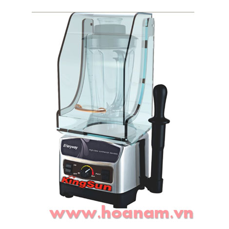 Máy xay sinh tố chuyên dụng